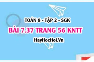 Bài 7.37 trang 56 Toán 8 Tập 2 Kết nối tri thức